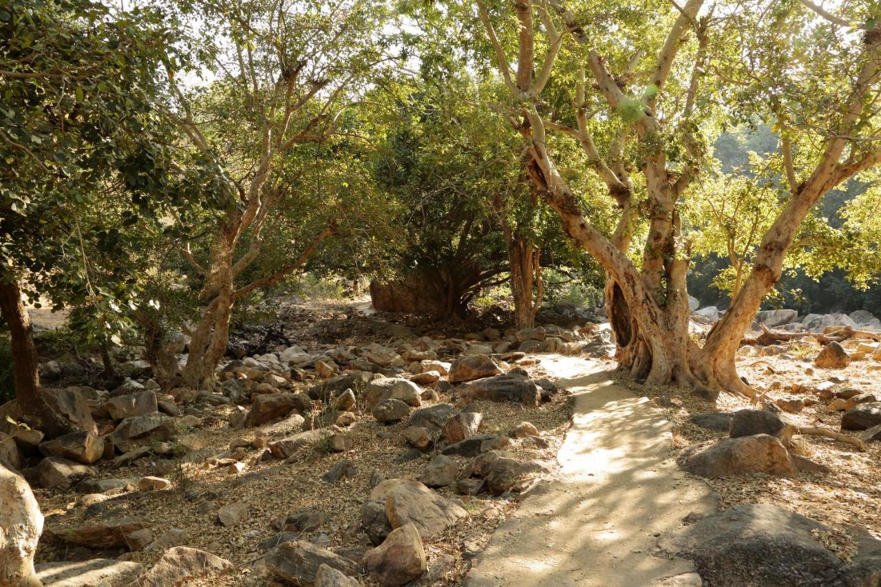 Bijapur Lodge Jawai Exteriör bild