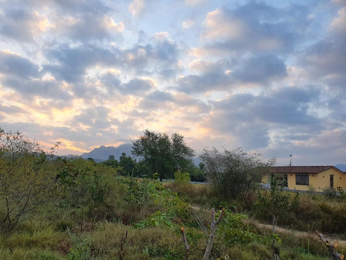 Bijapur Lodge Jawai Exteriör bild